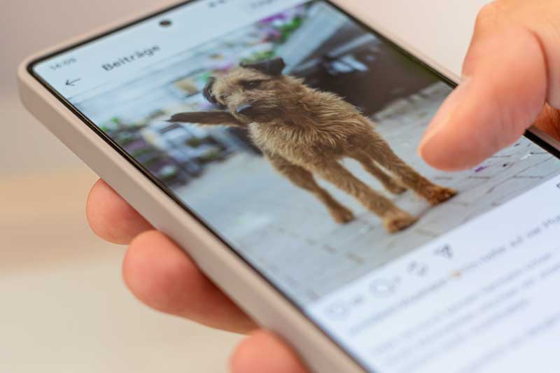 christmann-woll-leistung-social-media-feed-hund