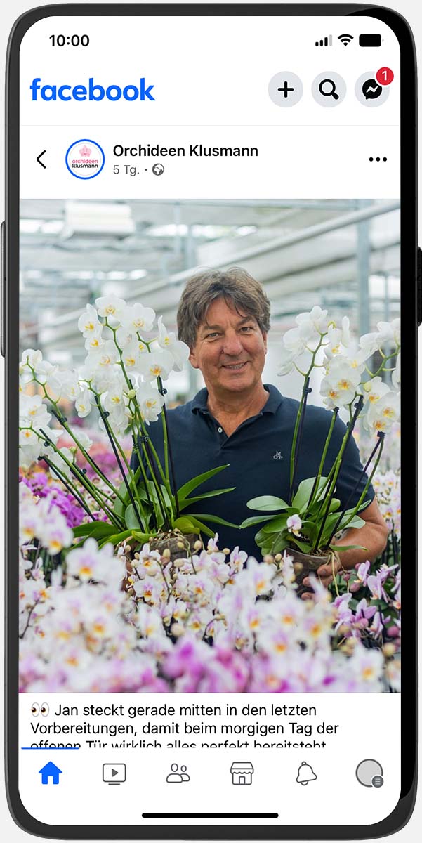 Social Media für Orchideen Klusmann