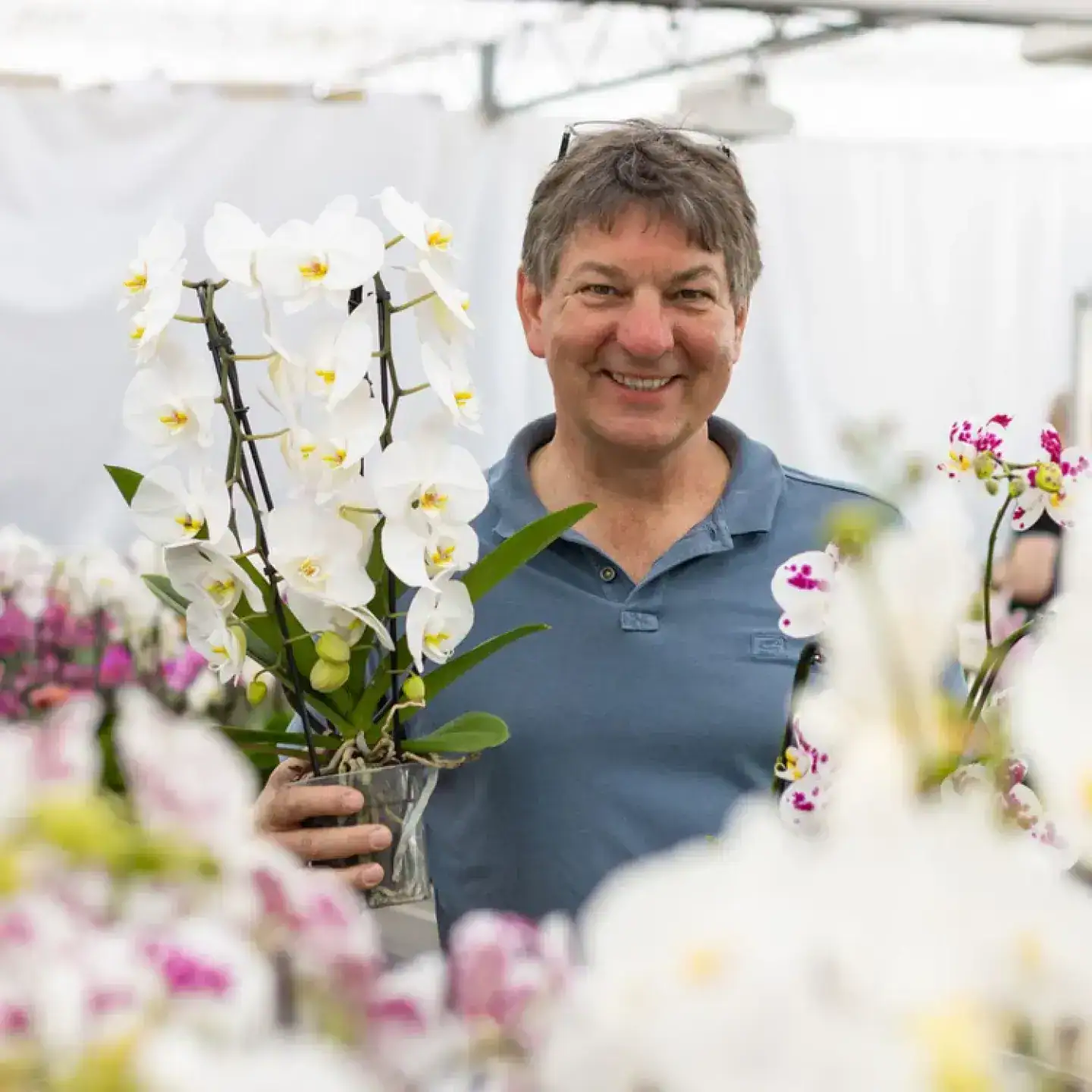 Fallstudie Orchideen Klusmann: E-Commerce und Corporate Design – Kundenprojekt von cw.marketing aus Leer, Ostfriesland