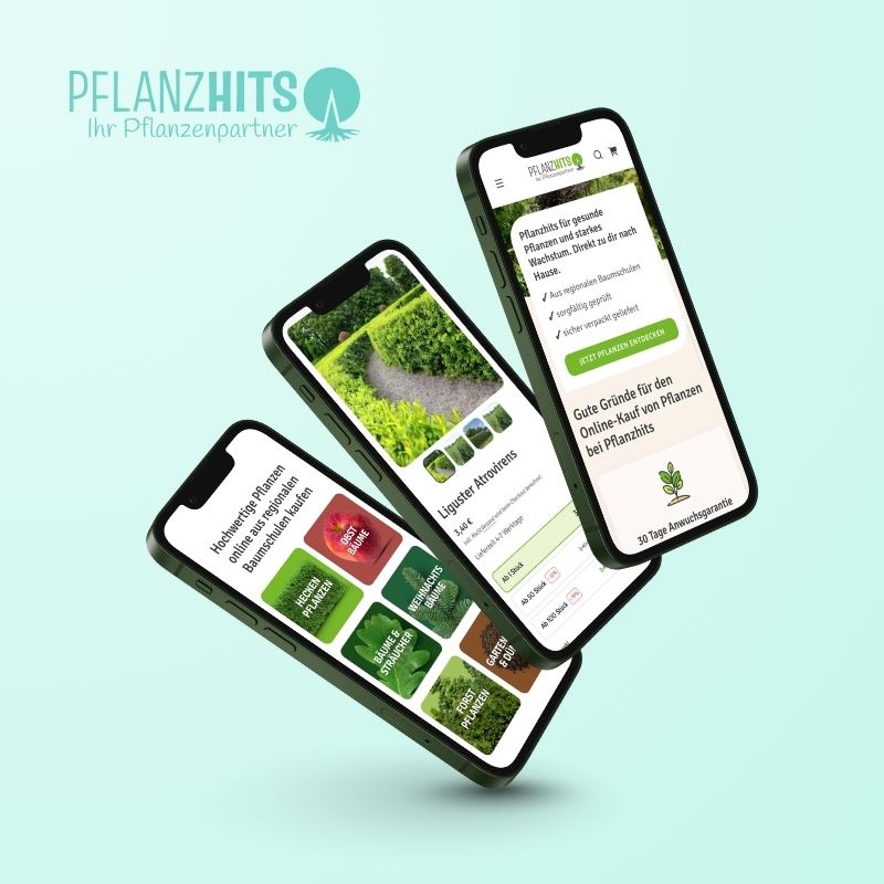 Webdesign-Referenz Pflanzhits