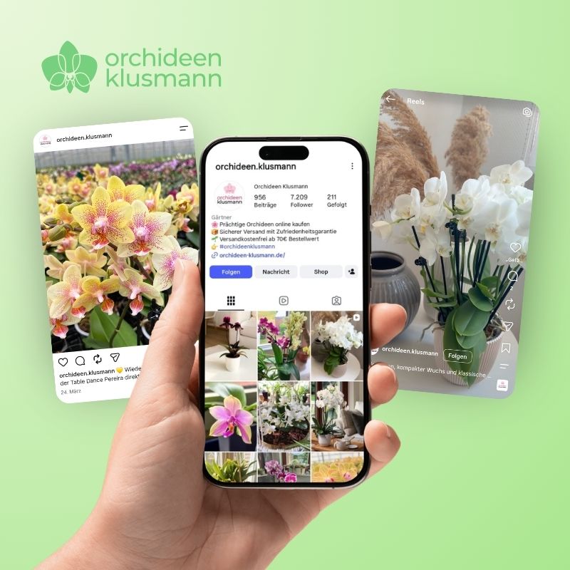 Social Media Referenz Orchideen Klusmann