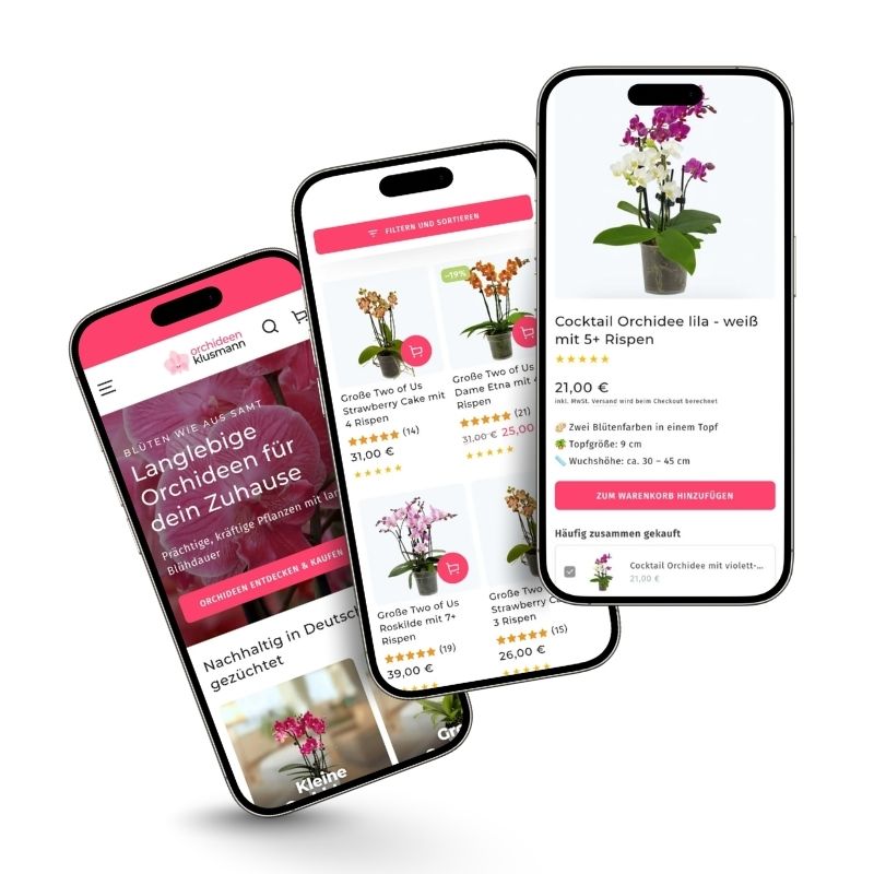 Webdesign-Referenz Orchideen Klusmann